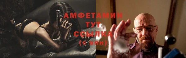 ECSTASY Ельня