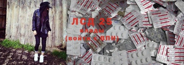 ECSTASY Ельня