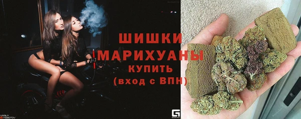 ECSTASY Ельня