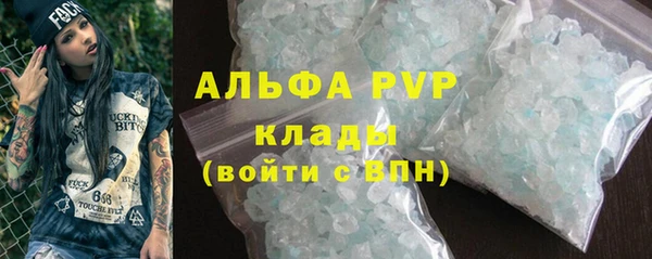ECSTASY Ельня